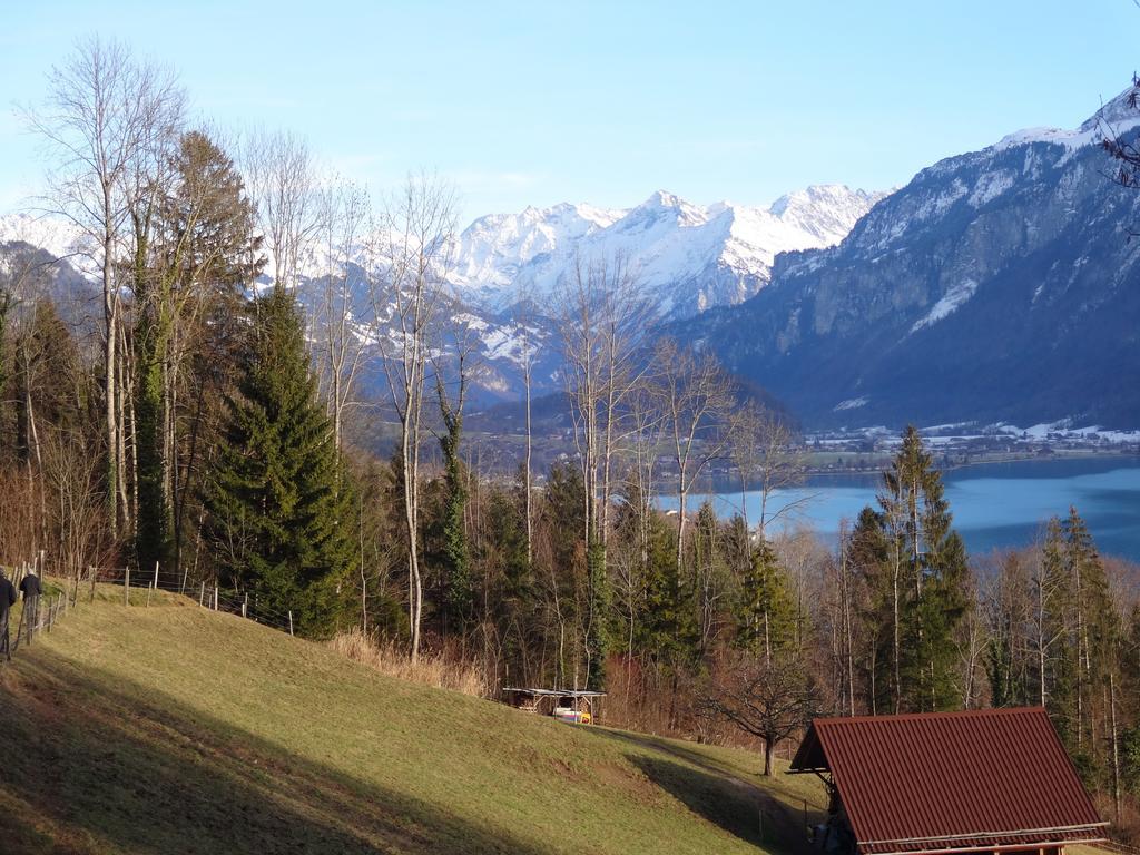 Seeli Hofstetten bei Brienz