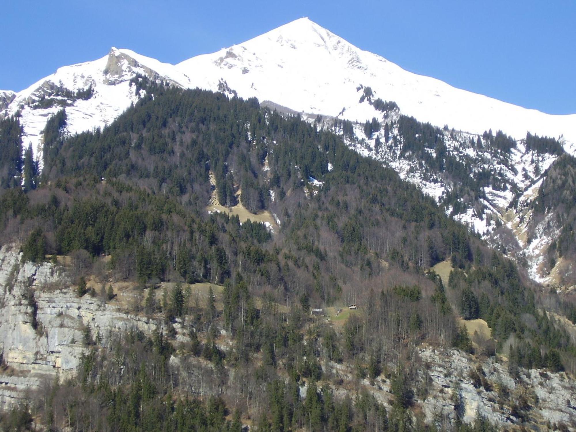 Seeli Chalet Hofstetten bei Brienz
