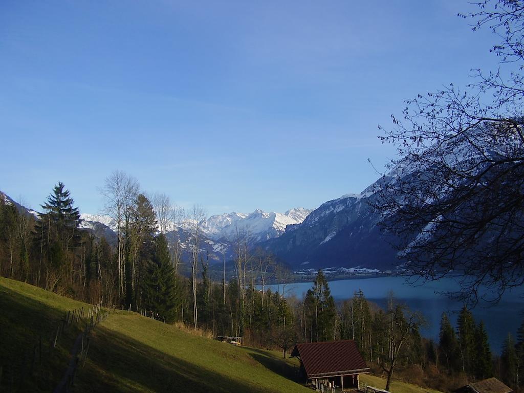 Chalet Seeli Hofstetten bei Brienz